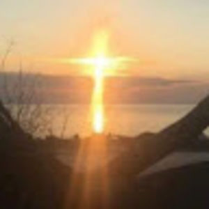 Meet your Posher, Ann